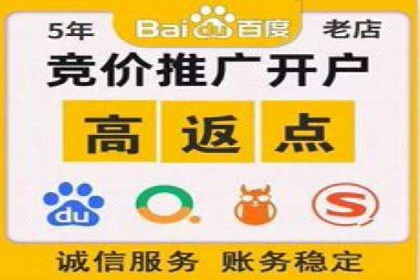 某某SEM团队成功提升网站流量与转化率的实战经验